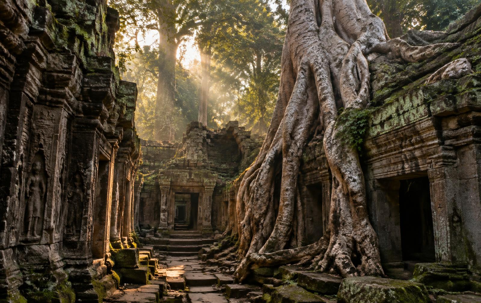 Early morning sunbeams filtering through giant silk-cotton tree roots over mossy sandstone doorways at Ta Prohm and Preah Khan in Angkor, Siem Reap